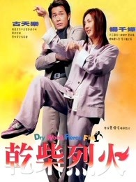 干柴烈火2002